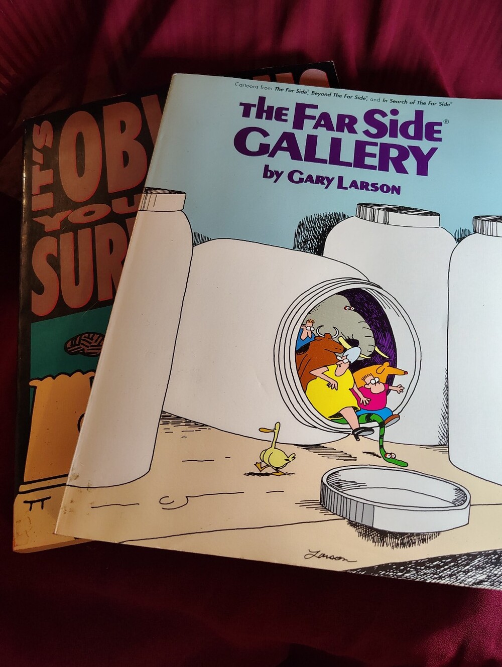 Vintage Comic Anthology Book Bundle The Far Side Gallery & Dilbert